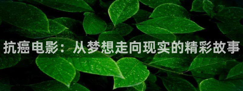 秋霞影院电视剧全集免费观看