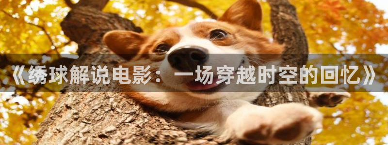秋霞看电