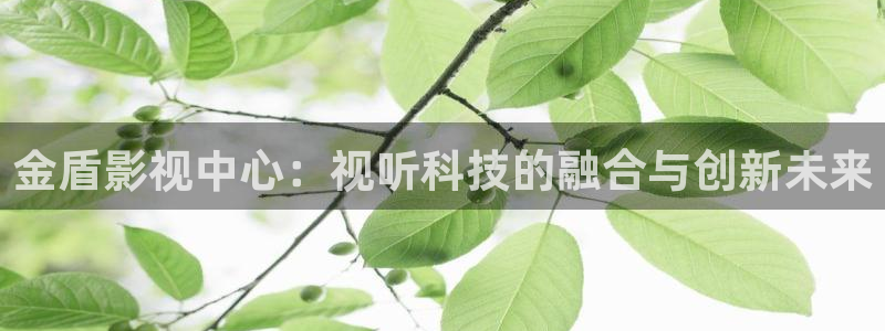 秋霞电影网完整版