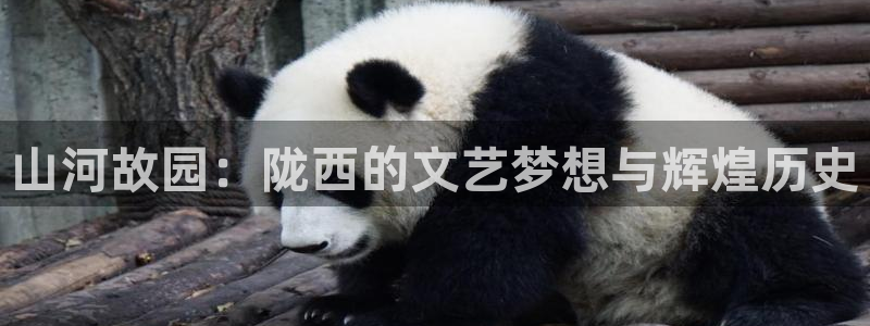 秋霞在线视频韩国
