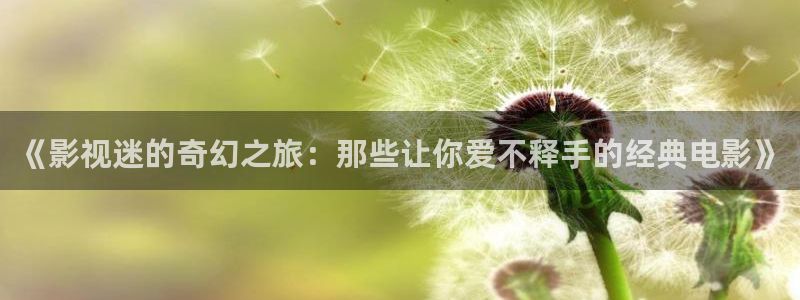 秋霞电影网新网址神马