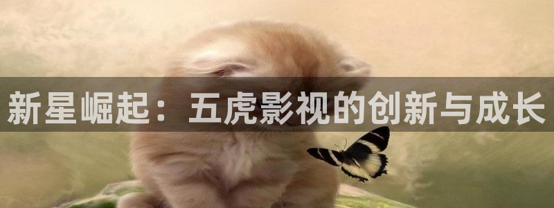 秋霞影电影网