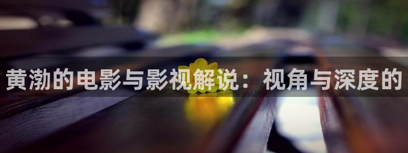 秋霞电影天堂电影