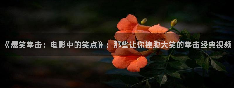 神马电影午夜片秋霞东