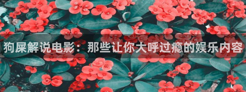 午夜秋霞影视网