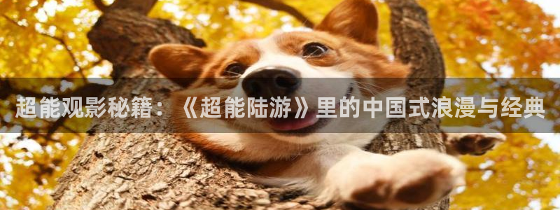 秋霞土鳖电影