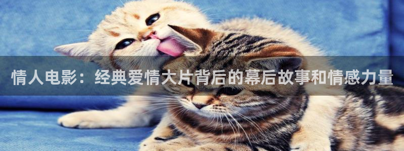 秋霞性理论电影