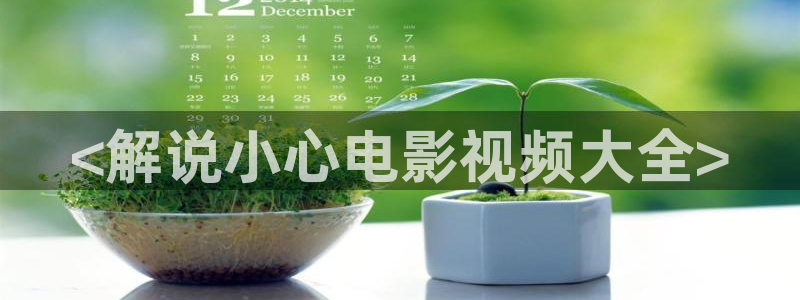 秋霞网理论在线
