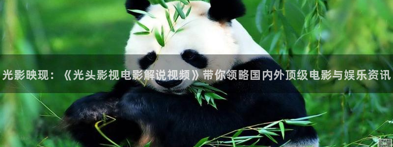 秋霞网勉费