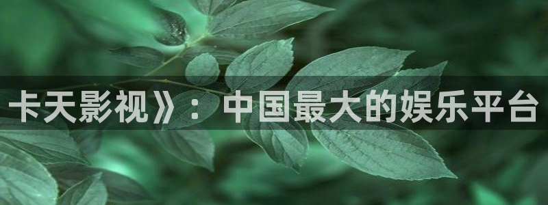 秋霞影院秋霞电影