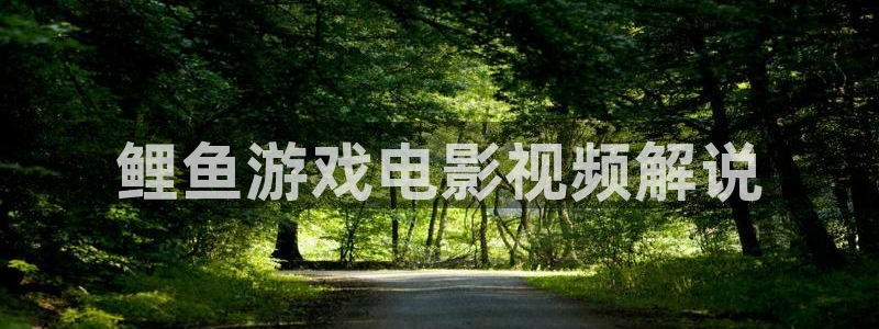 秋霞vip电影