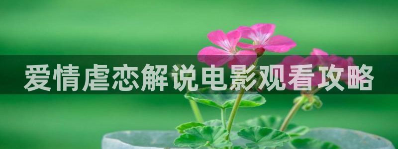 good秋霞电影在线播放