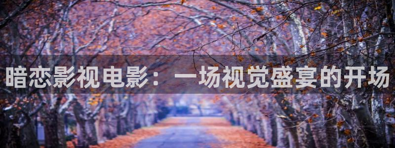 秋霞网在线观看手机