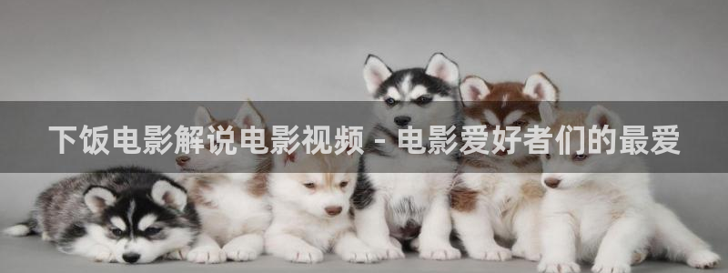 秋霞伦理片26