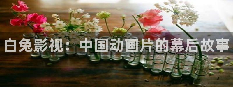 2828电影网秋霞