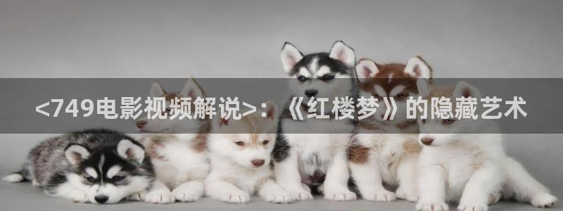 秋霞欧美片