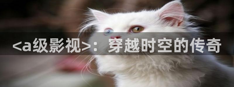 秋霞午夜一区二区三区电影