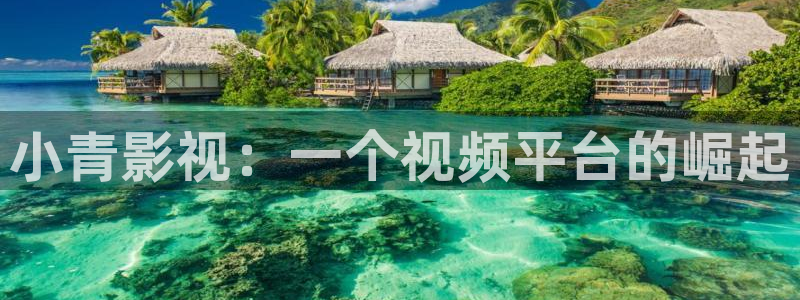 秋霞霞网