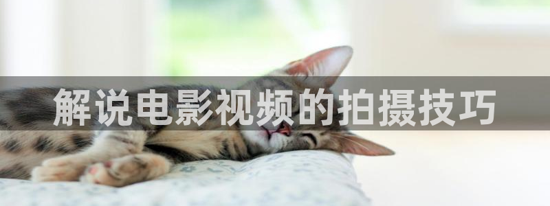 秋霞在线26