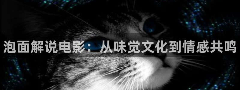 秋霞电影网午夜伦理免费