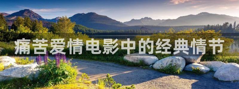 秋霞理论电影在线播放