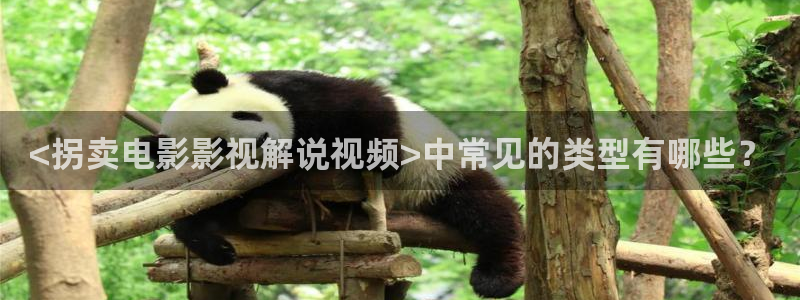 新秋霞在线