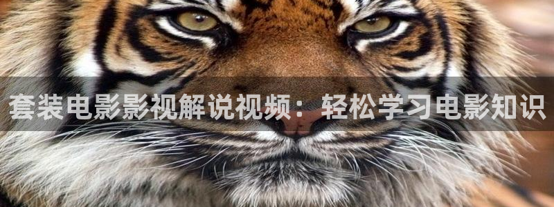 秋霞毛片电影