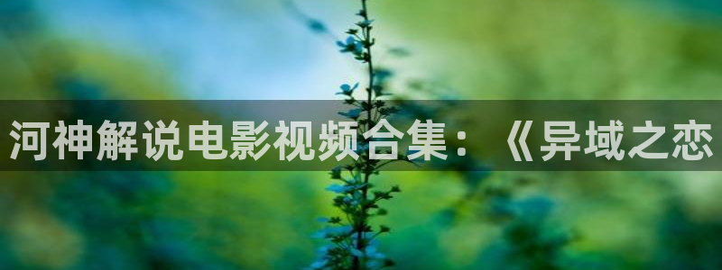 秋霞网上电影
