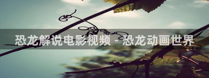 秋霞网老司机
