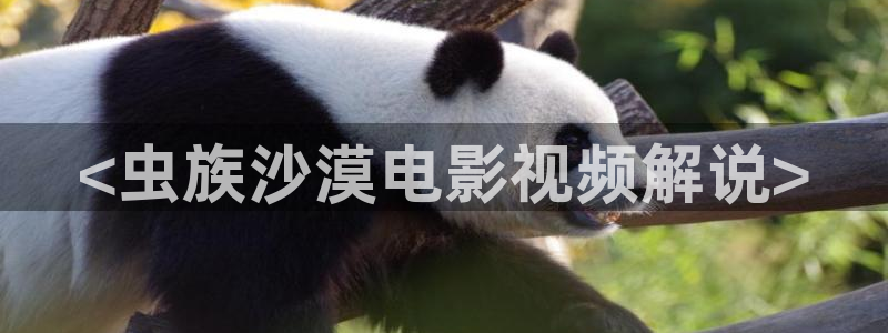 秋霞手机影视