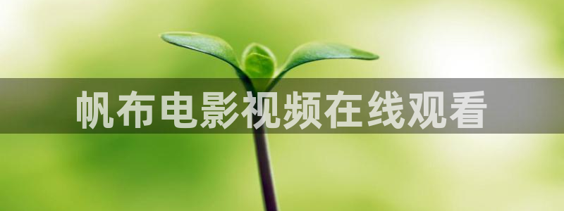 神马电影网秋霞网址