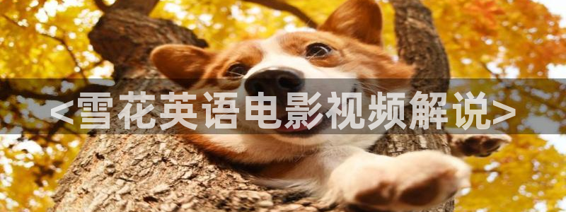秋霞影院免费的