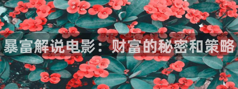 秋霞电影手机在线免费观看
