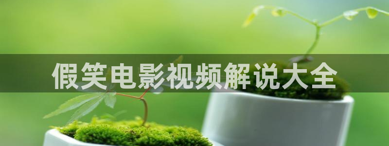 秋霞理论视频在线观看