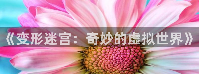 秋霞视频电影网