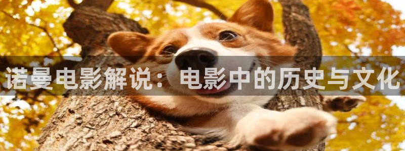 秋霞免费观看电影
