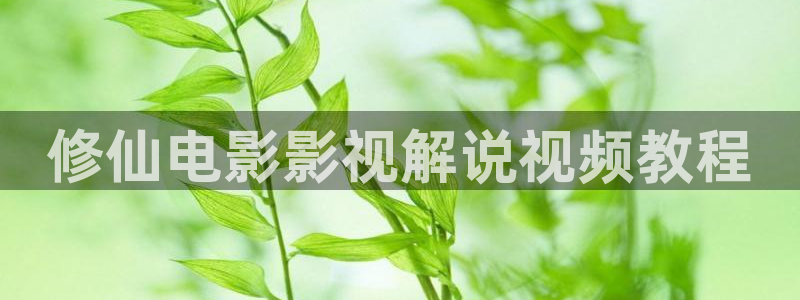 秋霞以前的网站
